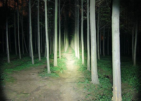 10W Powerful LED Flashlight Handheld for Portable Outdoor Camp Lantern, Backpack
