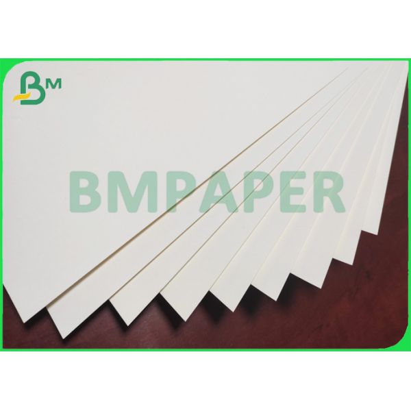 280gsm Poly Coated Cup Paper Material Single Or Double Poly Coating