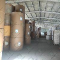Cartão de embalagem de alimentos, branco, liso, com revestimento em PE, em rolos de 660 mm
