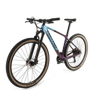 bicicleta do freio hidráulico de liberação rápida do Mountain bike do carbono da velocidade de 29er PREDATORpro RETROSPEC 13