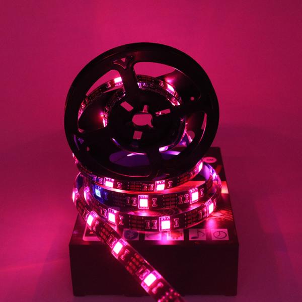 C02 magic tv usb flexible color changing smart app 5050 smart rgb waterproof Led strip lights