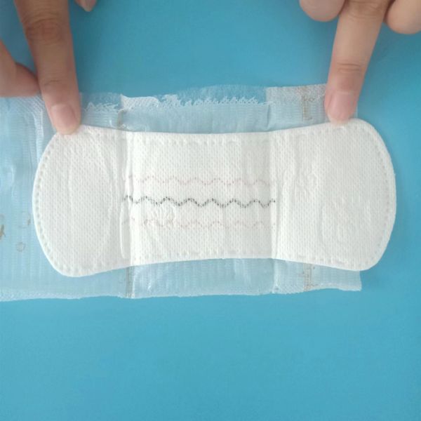 Certificado ISO9001 CE Anión de hierbas personalizadas para mujeres 2022 Panty Liner de incontinencia
