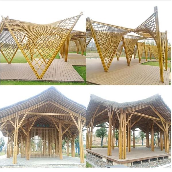 Natural Raw Moso Bamboo Poles 2cm 3cm 4cm 5cm 6cm 8cm 10cm Diameter