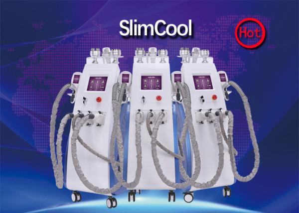 40KHZ Cavitation Body Slimming Machine For Fat Freeze Cryolipolysis Treatment