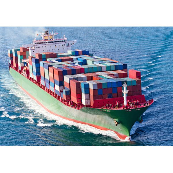 Import Export China Customs Clearance Service Loading Supervision