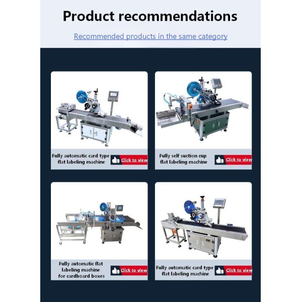 Manufacturer Fully Automatic Lift-and-Labeling Machine CH-602F for Food Self-Sealing Bags and PE Plastic Bags