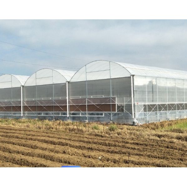 Sistema hidropónico de doble película para el paquete de pepinos Tamaño 12.09cm * 2.35cm * 2.39cm