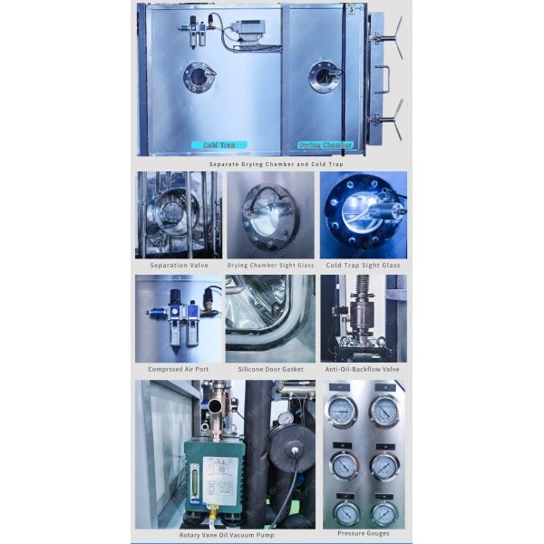 Biotechnology Freeze Drying Machine 5sqm Freeze Dryer Pharmaceutical Industry