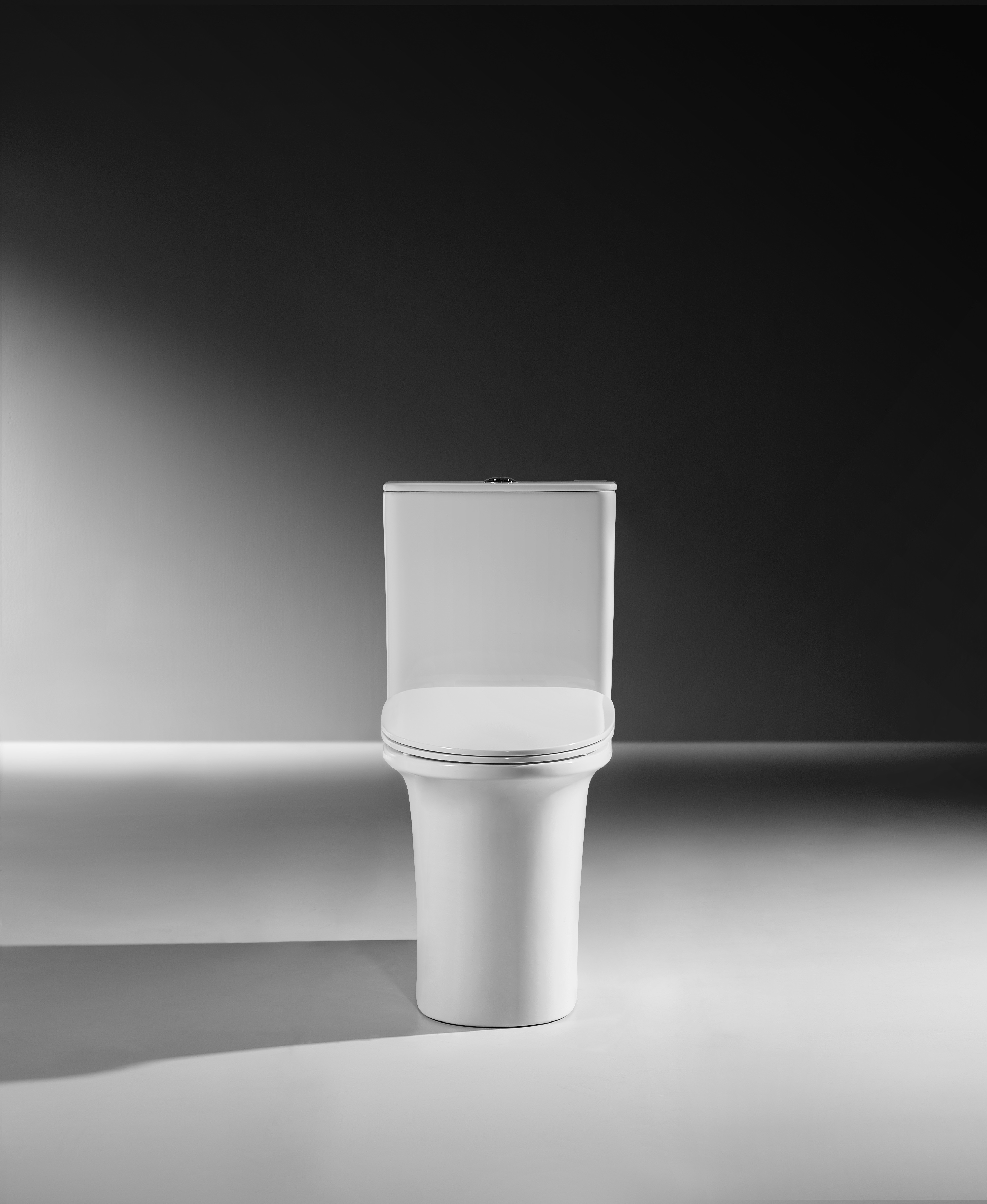 Туалет 654*398*810mm Washdown двухкусочный керамический для Bathroom