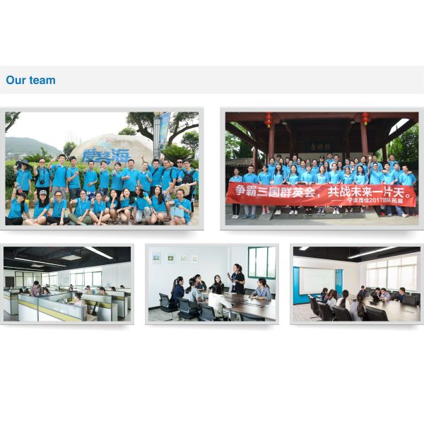 1982-88 Nissan Pulsar 1.5L 1.6L SOHC E16i E16S E16 E15T E15 New Water Pump AW9041 21010-01M00