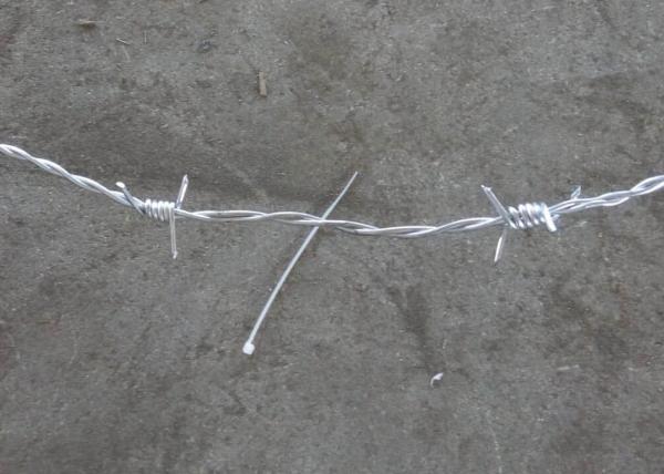 Military Zone Special Zinc Barbed Wire Customized Benefits More Professional Guidance To Make Installation Faster