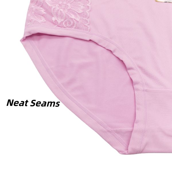 Women 3XL Briefs High Quality Large Size XXXL One Size Brief Panties 10PCS/PACK Ready to Ship Women Panties XXXL