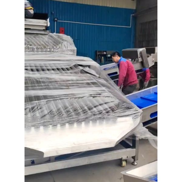 Can Customed Ocean Fish Grader And Fish Sorting Equipment For Large Capacity