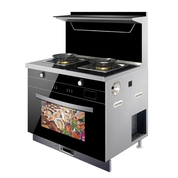 Integrated Stove with 2 Burners Picture Gas Stove Steamer and Oven from Manufacturing