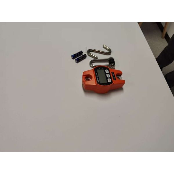 300 kg de balance de grue numérique 0,3 tonne Mini Crochet suspendu électronique