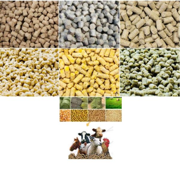 1-12 мм кормовые пеллетные машины линия фабрика Животные Животноводство Крупный рогатый скот кормовые машины