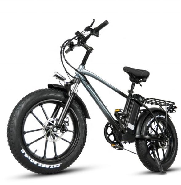 18Ah Lithium Battery Electric Hybrid Bike 750W 20 Inch Fat Tire Mountain Ebike For Adult