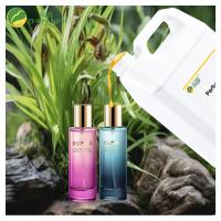 Parfums concentrés Parfums solides Huile de parfum jaune clair Liquide