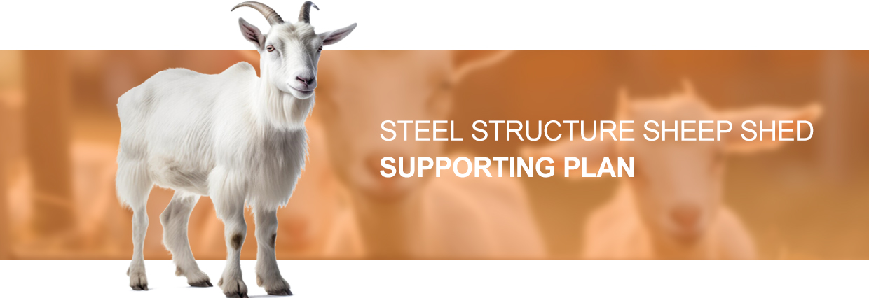 Алюминиевое стекло из сплава металлического металла Конструкция помещения для фермы козов Стальная конструкция Дом для овец Приют PKPM Рисунок