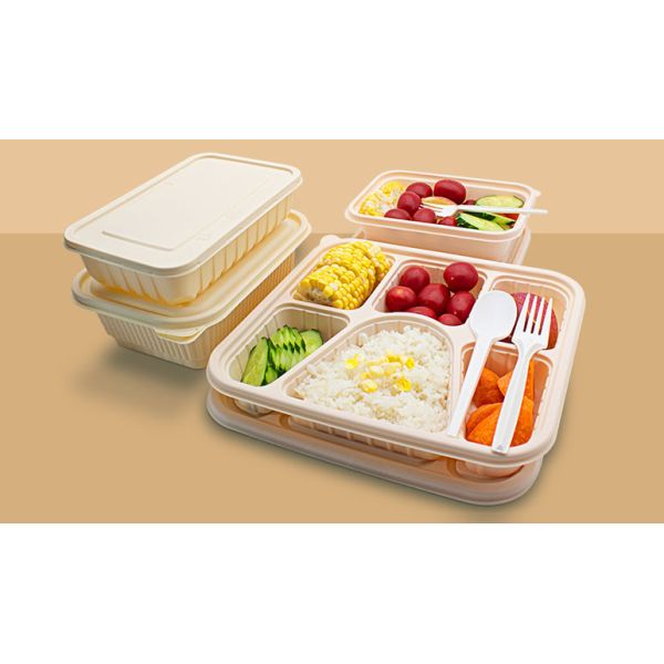machinery for biodegradable food container disposable lunch box machine disposable food container making machine