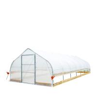Invernadero los 9x30m del palmo de la película plástica del arco redondo solo para las verduras