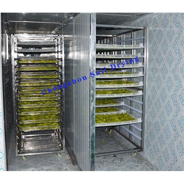 Dehydrated Vegetables CT Series Hot Air Circulation Oven Electric Heating