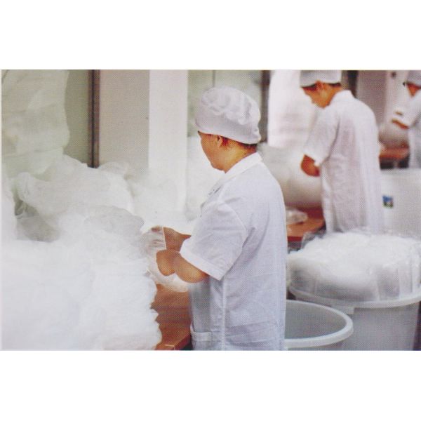 Disposable Polypropylene Non Woven Caps 22'' 23'' 24''