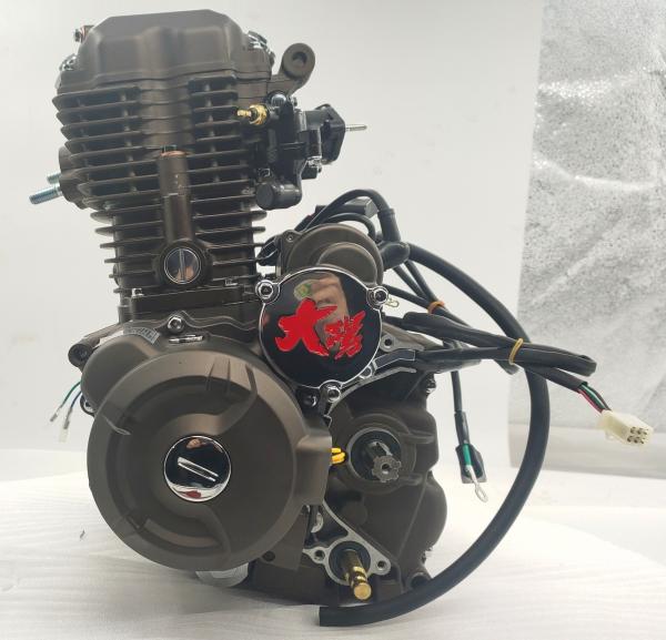 Max.Power 10.2/8000 Gasoline Tricycle Engines Assembly from DAYANG for Chinese Motorcycles