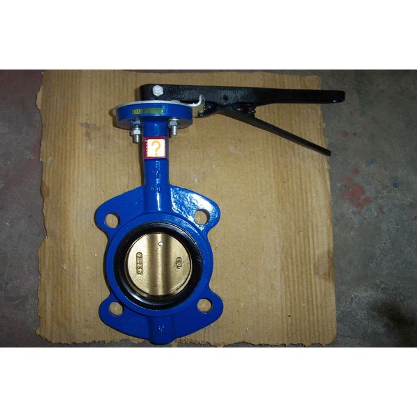 Sanitary Cast Iron Wafer Butterfly Valve , API 609 / ISO 5752 / BS 5155