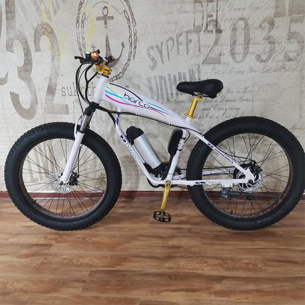 48V 500W Power Electric Bike para Equilíbrio de Exercício e Retro Vintage Ebike Adventures