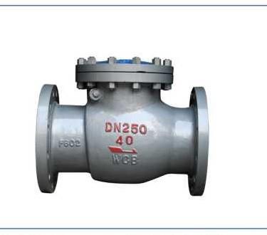 Stainless Steel Dn50 Swing Type Check Valve Pn16