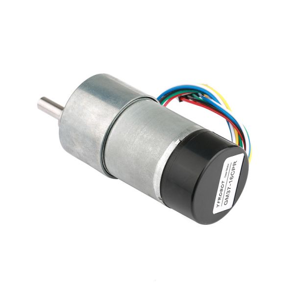 FT-37RGM3530 Electirc Motor Excellent Quality Big Torque High Efficiency Silent 6v12v 24v Mini Slow Speed Rpm Spur Gear Motor Install Hall Encoder