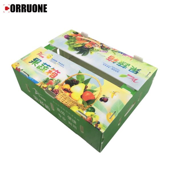 Corflute Recycled Fruit And Vegetable Packaging Boxes Polypropylene