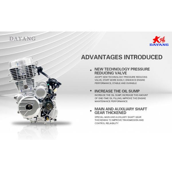 Электрический двигатель DAYANG 200cc одноцилиндровый для трехколесного мотоцикла