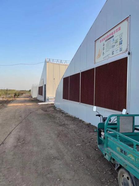 Competitive Price 7090 7060 5090 air Cooler Honeycomb Pads Made by Kraft Paper Used for Pig Pen Poultry Farm 10mm
