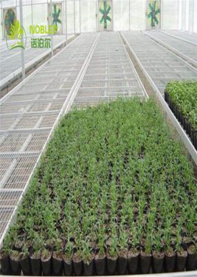 1.7m Length Greenhouse Grow Beds , Seed Bed Bench Tray Top Table