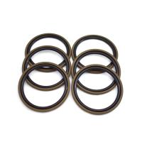 Sceaux SPGO à piston hydraulique / Glyd Ring / GSF Seal Compact Rod