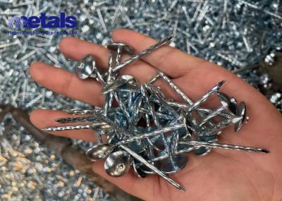 High Performance 1/2 Inch Galvanized Steel Roofing Nails Long Lasting Results