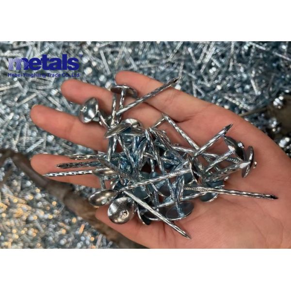 OEM Круглая голова Gi крышные гвозди Серебро Белое отделка Долговечная производительность