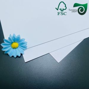 FSC 215gsm 350gsm One Side Coated Food Grade Bleached Cardboard 770mm 1100mm