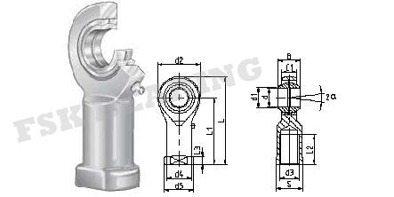 Конец прута СА 20 ЭС СА5ЭС СА17ЭС нося внешнюю емкость тяжелого груза потока