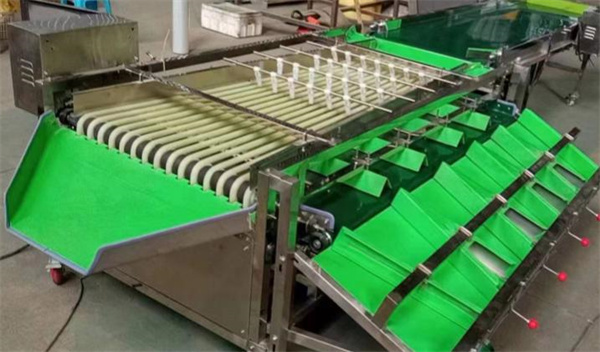 blueberry grading machine, dates sorting machine, plum grading machine