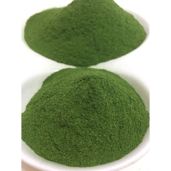 Sell Freeze Dried Spinach Powder Natural Additives