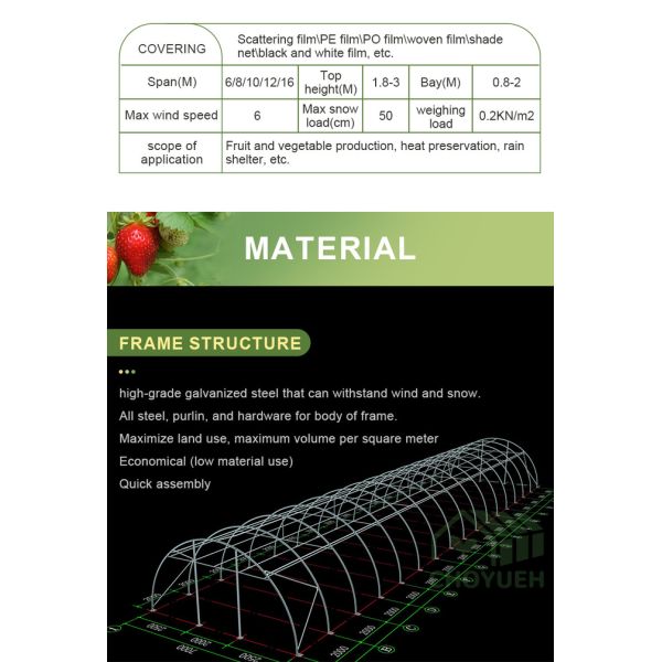 Hot Dip Glavanized Steel Polytunnel Greenhouse 10X30m Single Span