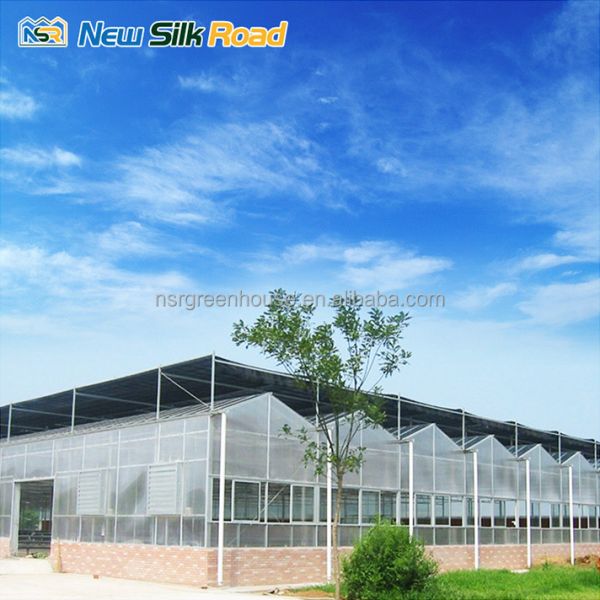 vegetable garden greenhouse frame agricultural greenhouses tunneling polycarbonate greenhouses supplier for plants