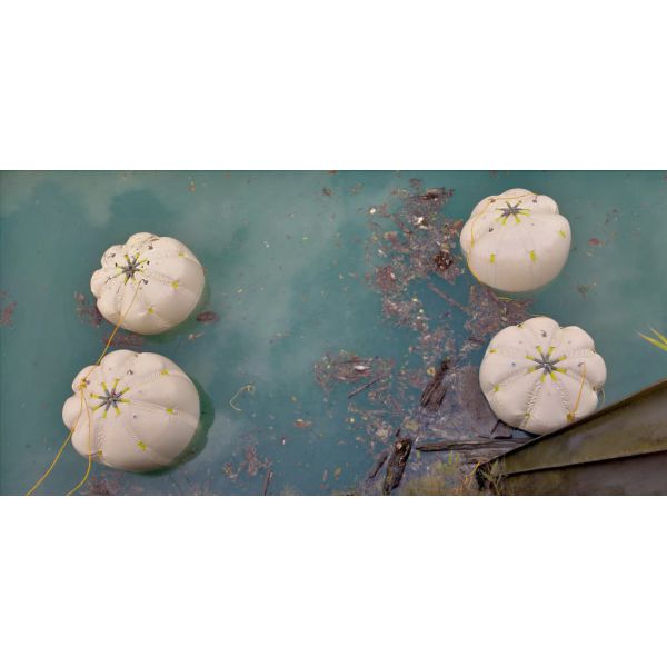 Надувные подушки для воздуха для тяжелой работы Сварка ПВХ покрытых тканей Флотация