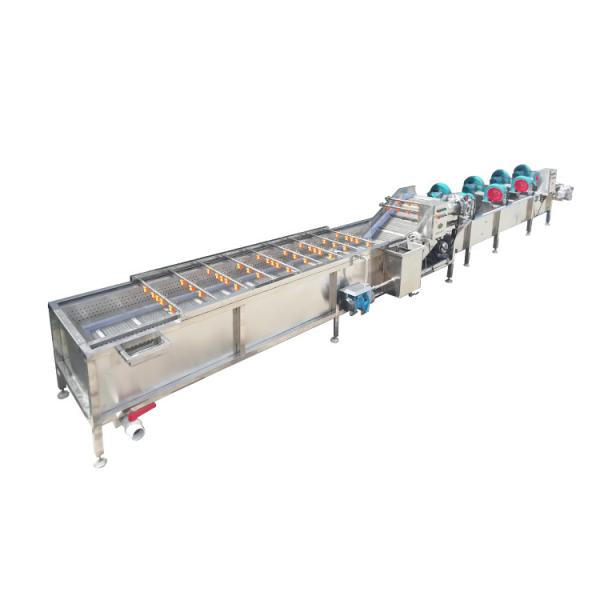 Vegetable Washing and Drying Machine Fresh Fruit Vegetable Processing Units Low Consumption High Efficiency Dried Products 5.1KW