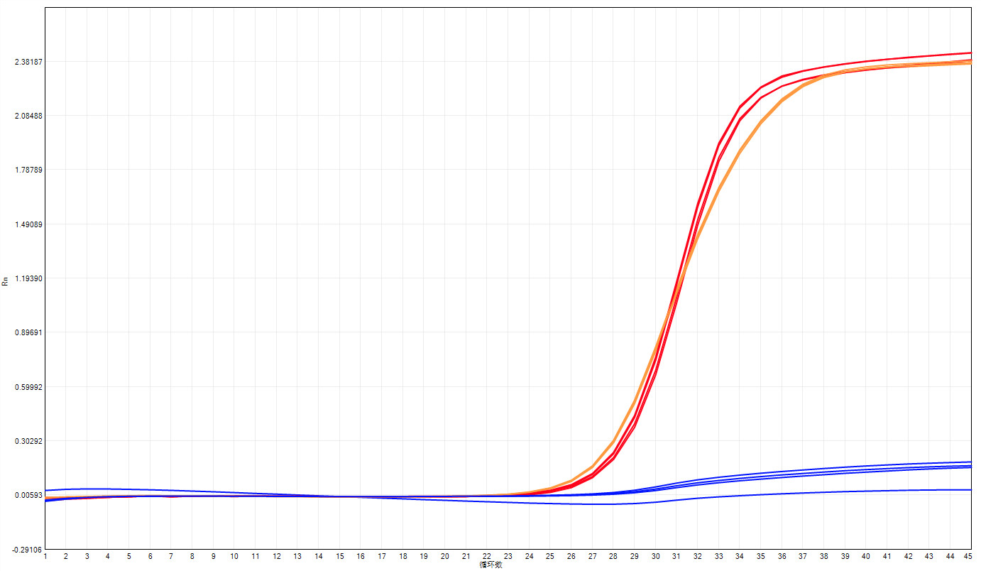 HS Probe qPCR Mix для ПЦР ДНК в реальном времени