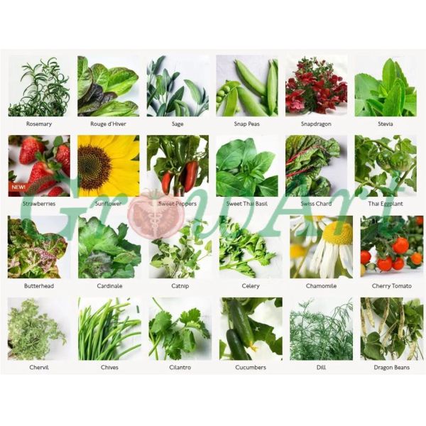 7P7 Hydroponic Growing Towers Vertical Garden Hydroponic System