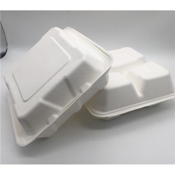 Bento Petroleum Free 8